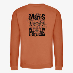 Sweat Brodé - Lycée Descartes Maths Physique